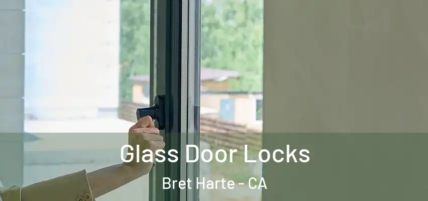  Glass Door Locks Bret Harte - CA
